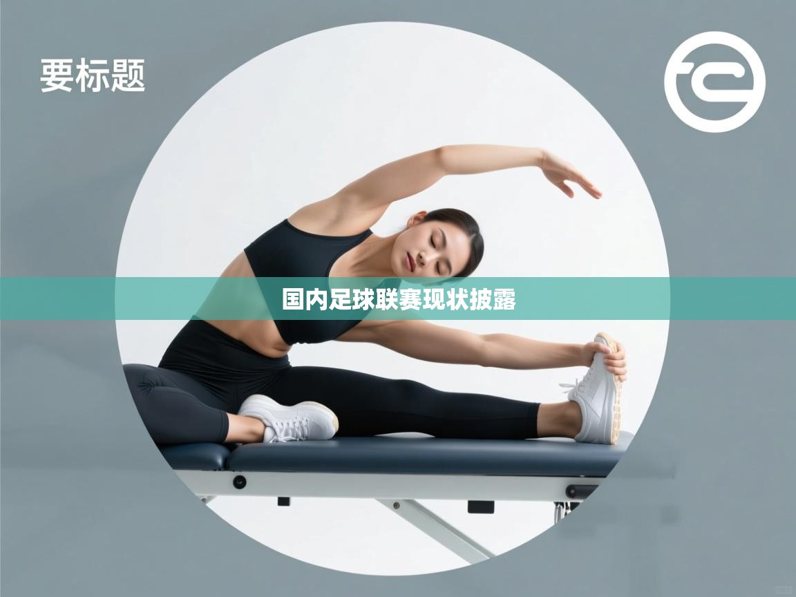 国内足球联赛现状披露